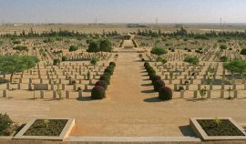 Alexandria Private And Custom Tours