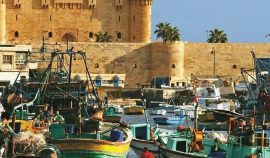 alexandria-shore-excursions