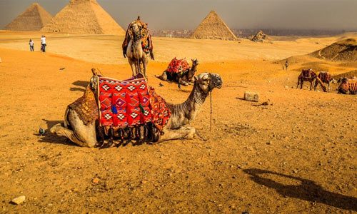 EGYPT_DAY_TOURS