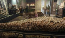 mummification-museum