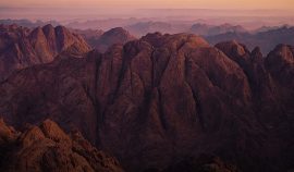 sinai-information